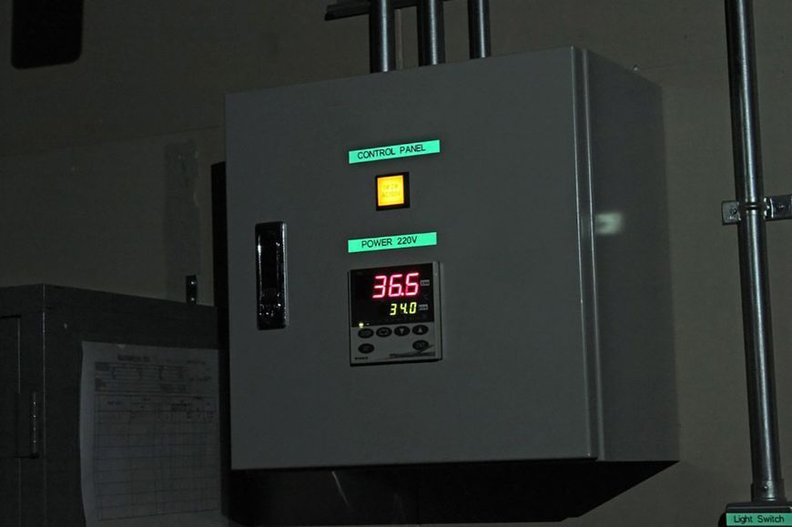 Картридж Epson LabelWorks LK-4DBF 12 мм, флуоресцента стрічка, чорний текст на прмаранчевому LK-4DBF фото